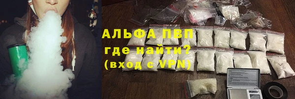 прущие грибы Балахна