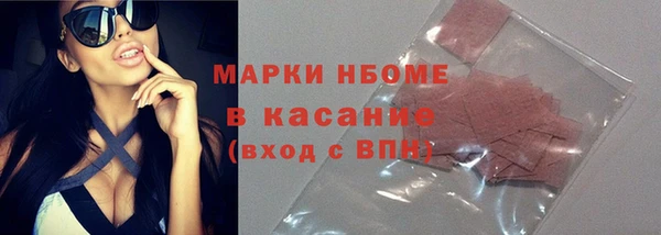 прущие грибы Балахна