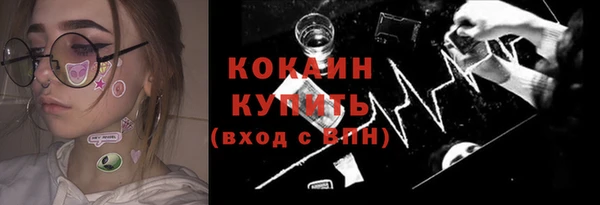 прущие грибы Балахна