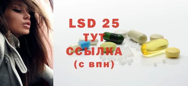 прущие грибы Балахна