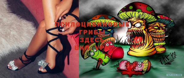 стафф Баксан