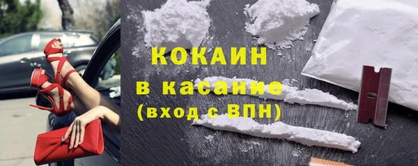 прущие грибы Балахна