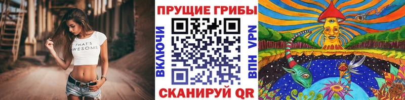 Псилоцибиновые грибы ЛСД  наркота  Сысерть 